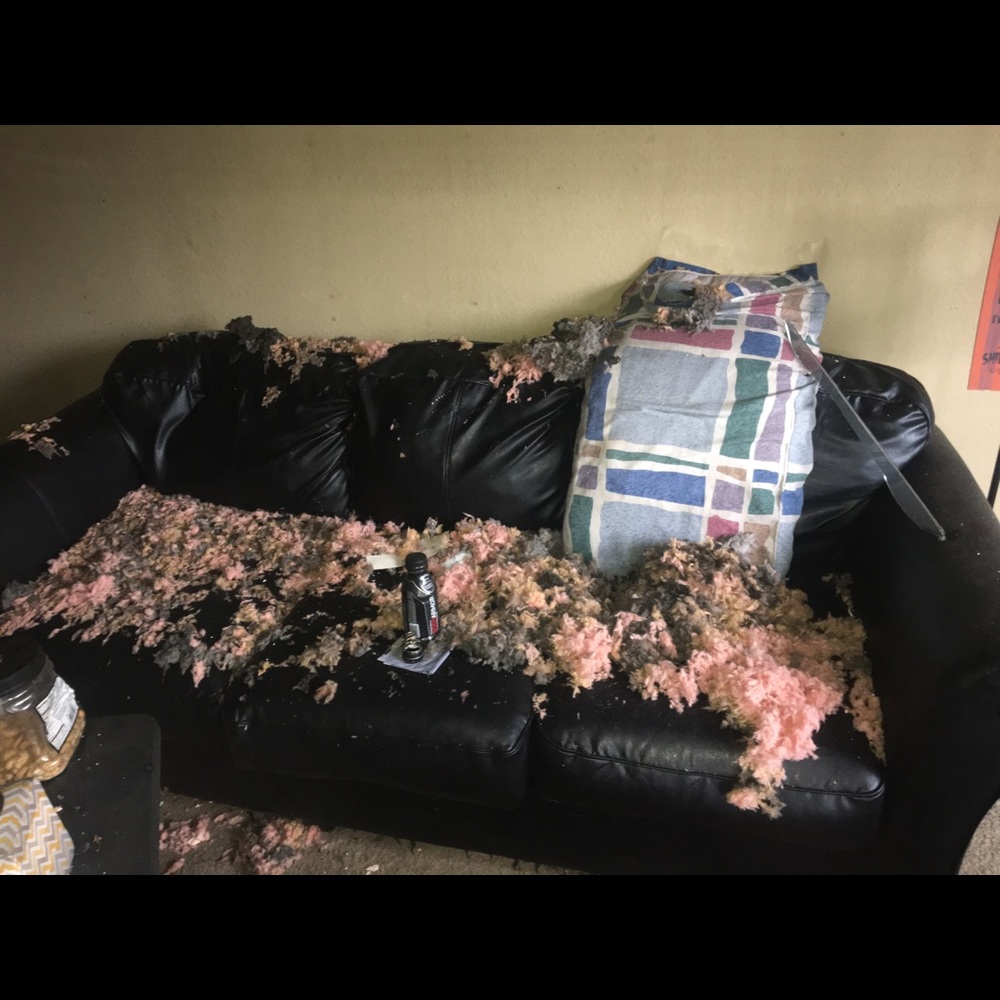 🔥 Fire Recovery! All sales going to my gofundme - Picture 3 of 8